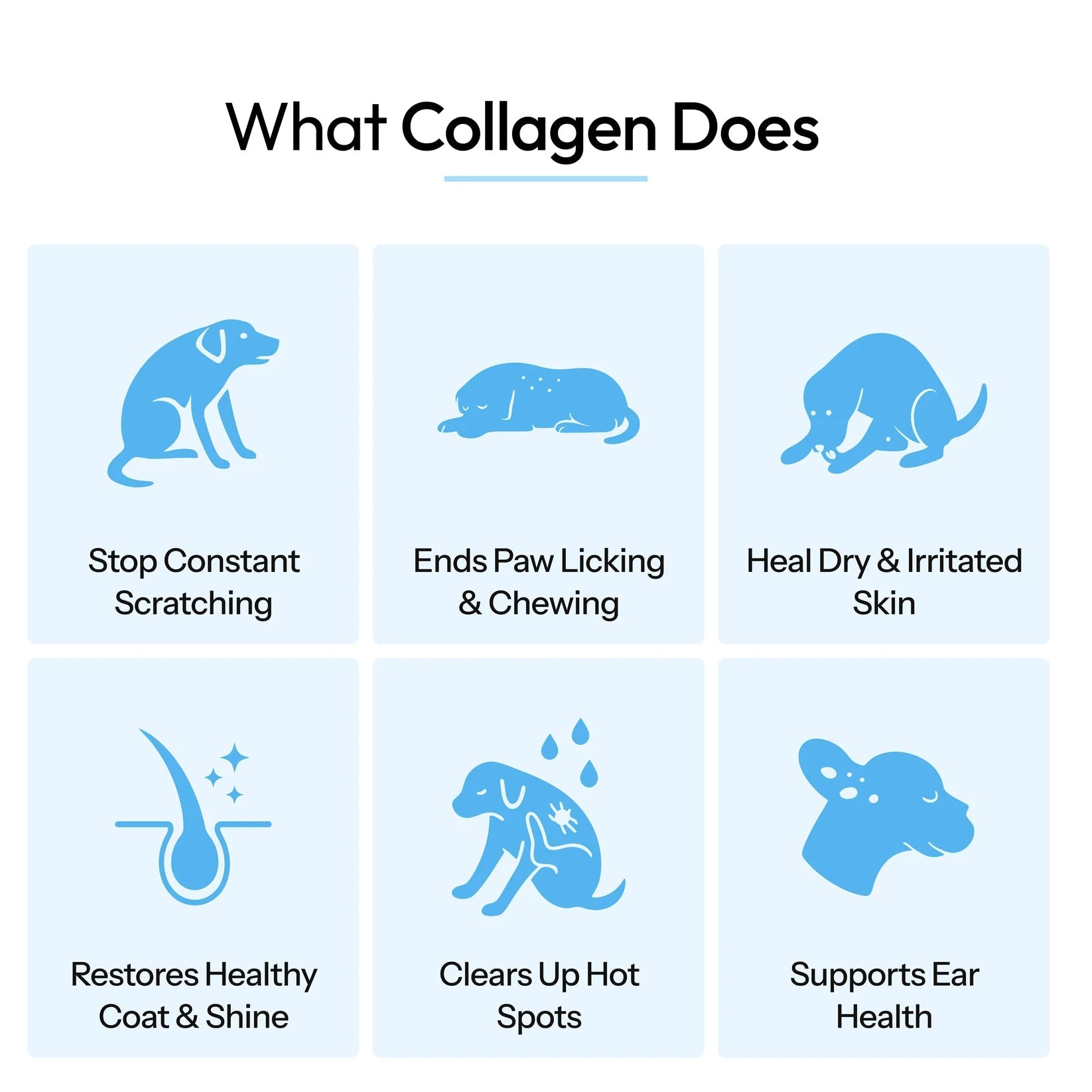 Coreva Labs - Skin Barrier Collagen for Itchy Dogs - Coreva Labs USA