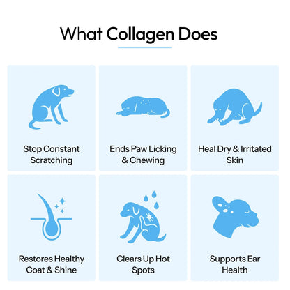 Coreva Labs - Skin Barrier Collagen for Itchy Dogs - Coreva Labs USA