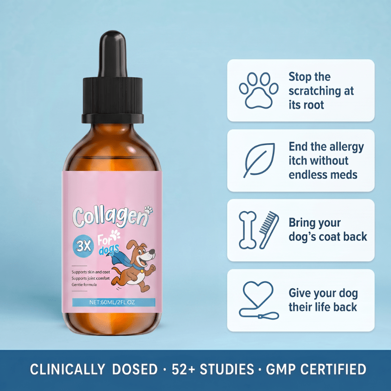Coreva Labs - Skin Barrier Collagen for Itchy Dogs - Coreva Labs USA
