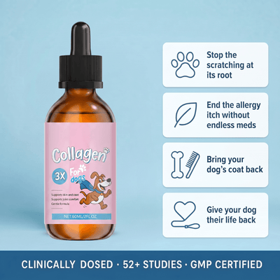 Coreva Labs - Skin Barrier Collagen for Itchy Dogs