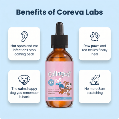 Coreva Labs - Skin Barrier Collagen for Itchy Dogs - Coreva Labs USA